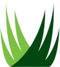 SYNLawn Golf